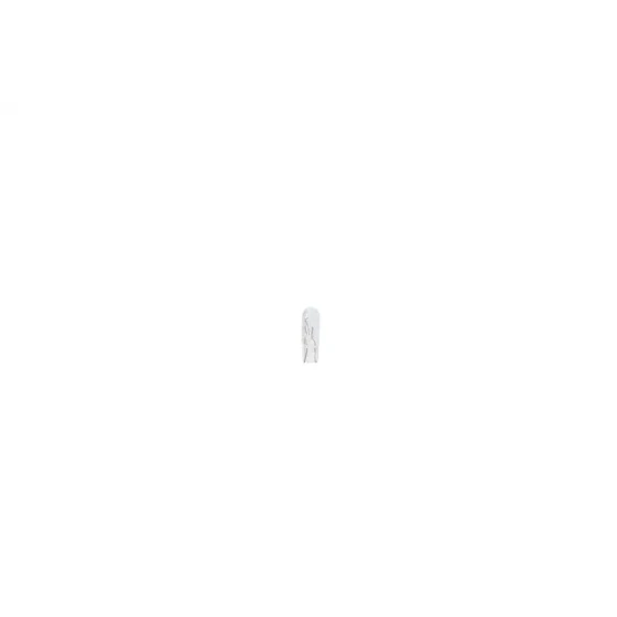 BOSCH 1987301024 Ampül ürün görseli