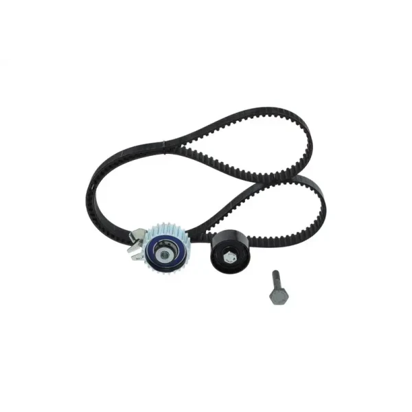 BOSCH 1987946717 Triger Seti 71754562