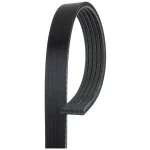GATES 5PK1220 Kayış