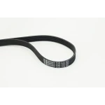 CONTITECH 6PK1733 Kayış