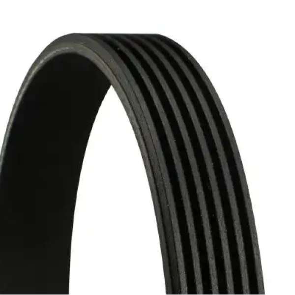 CONTITECH 6PK1856 Kayış