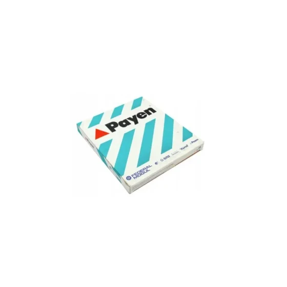 PAYEN JD273 Manifold Contası 60812729 ürün görseli