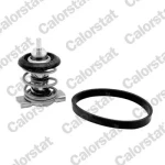 CALORSTAT VERNET TH9241.88J Termostat