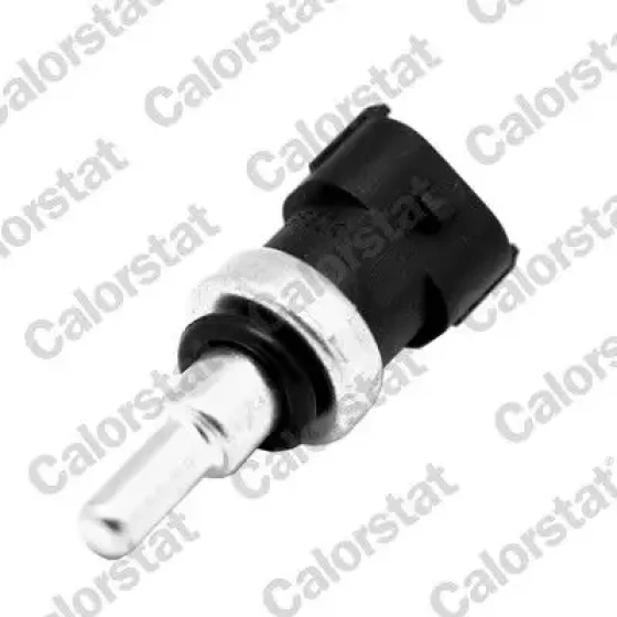 CALORSTAT VERNET WS3046 Hararet Müşiri ürün görseli