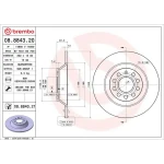 Brembo Arka Fren Diski – 08.8843.21 / OEM 4F0615601E