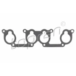 Topran Emme Manifold Contası – 100724001 / OEM 037129717C