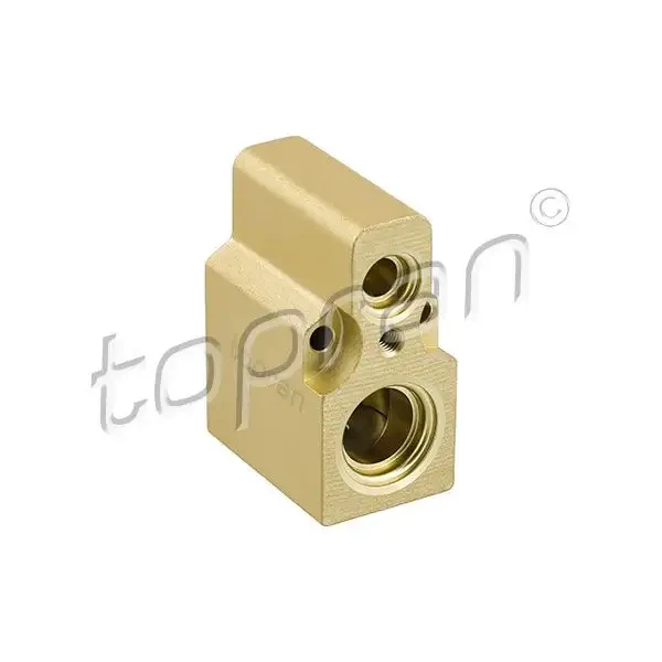 Topran Klima Genleşme Valfi – 108924001 / OEM 6N0820679A