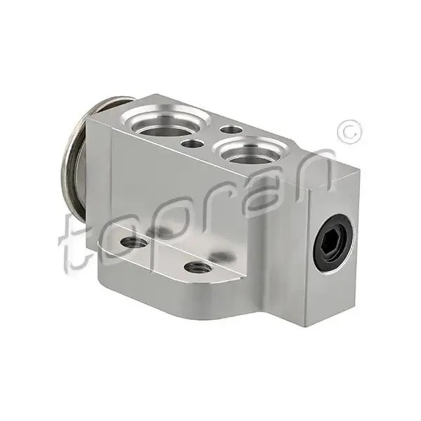 Topran Klima Genleşme Valfi – 112306001 / OEM 1K0820679