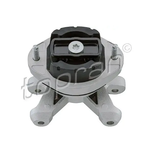 Topran Şanzıman Takozu – 113187001 / OEM 8E0399105JD
