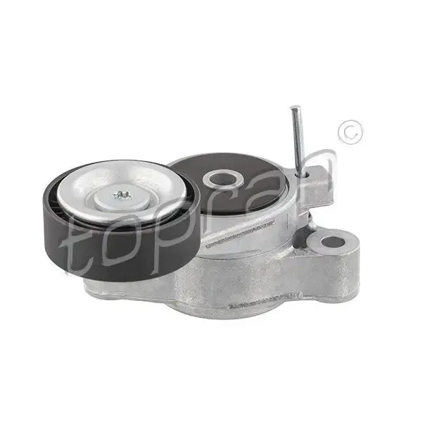 Topran Kayış Gergi Kütüğü – 113190001 / OEM 03C145299M