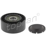 Topran Alternatör Gergi Rulmanı – 113264001 / OEM 059903341F