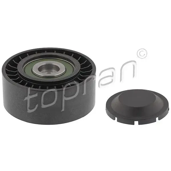 Topran Alternatör Gergi Rulmanı – 113264001 / OEM 059903341F