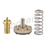 Topran Termostat – 113296001 / OEM 03C121110K