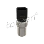 Topran Klima Basınç Müşürü – 113591001 / OEM 1K0959126E