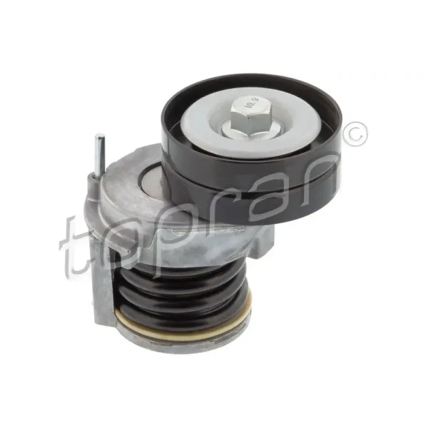 Topran Kayış Gergi Kütüğü – 113627001 / OEM 03C145299AC