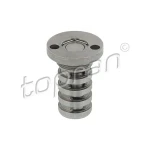 Topran Eksantrik Kumanda Valfi – 113724001 / OEM 06H109257C