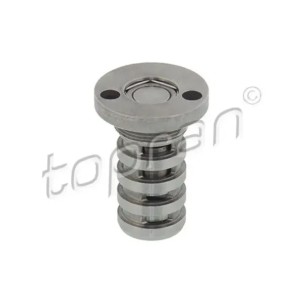 Topran Eksantrik Kumanda Valfi – 113724001 / OEM 06H109257C