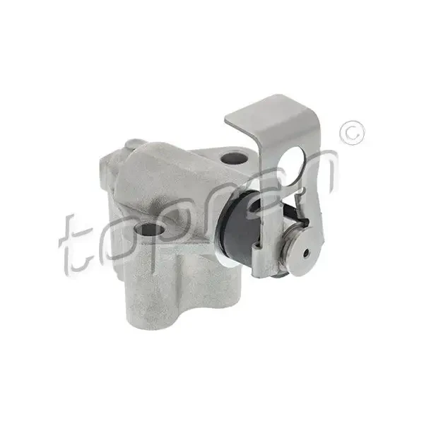 Topran Eksantrik Zincir Gergisi – 115012001 / OEM 06K109467K