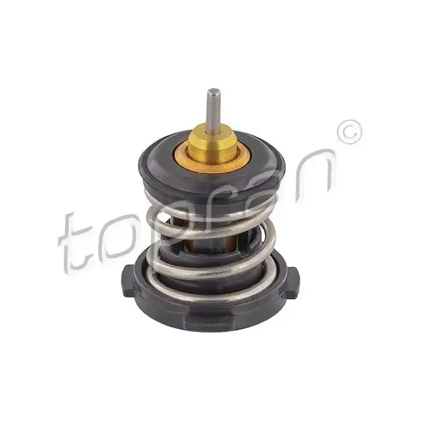 Topran Termostat – 116998001 / OEM 04E121113G