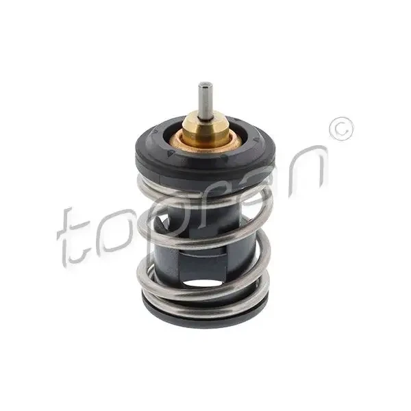 Topran Termostat – 116999001 / OEM 04E121113F
