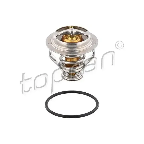 Topran Termostat – 117063001 / OEM 06J121113A
