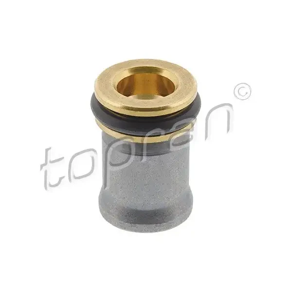 Topran Eksantrik Kumanda Valfi – 119264001 / OEM 06H103175B