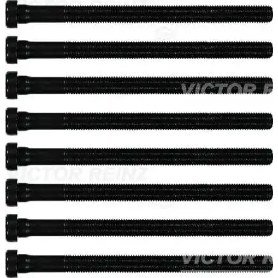 Victor Reinz Silindir Kapak Civatası – 14-32196-01 / OEM 95510417402 ürün görseli