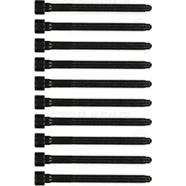 Victor Reinz Silindir Kapak Civatası – 14-32276-01 / OEM 06D103385D