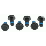 Sachs Volant Civatası – 3096005000 / OEM N90501402