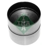 INA Supap Fincanı – 420021010 / OEM 607621