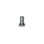 INA Eksantrik Kumanda Valfi – 427001610 / OEM 06H109257C
