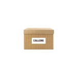 FALLONE Yağ Pompası – 6073 / OEM 058115105A