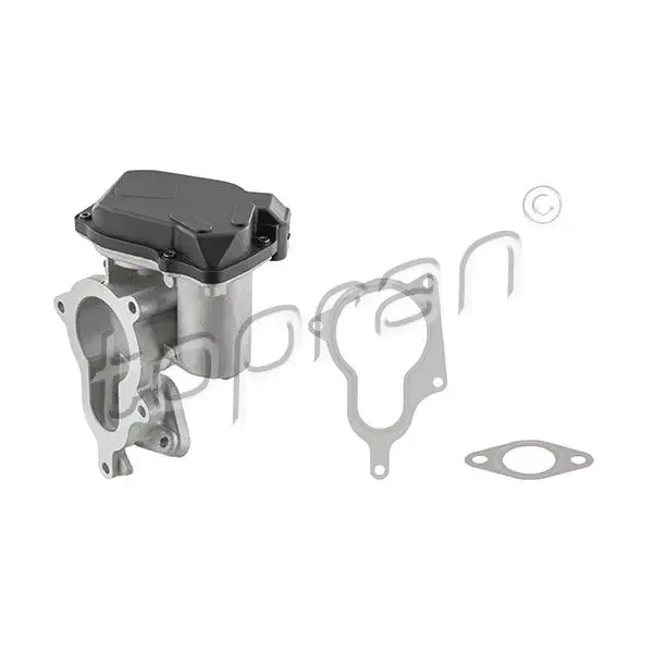 Topran EGR Valfi – 639159001 / OEM 03G131501B