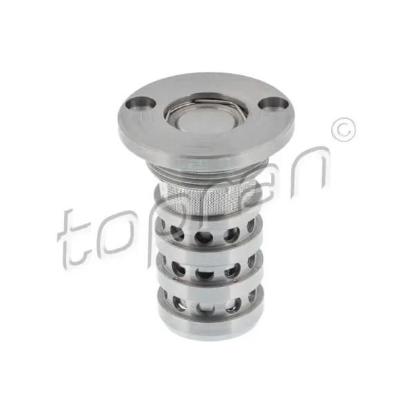 Topran Eksantrik Kumanda Valfi – 639818001 / OEM 06L109257B