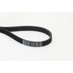 Contitech Kayış – 6PK1555 / OEM 044903137G