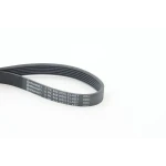 Contitech Kayış – 6PK842ELAST