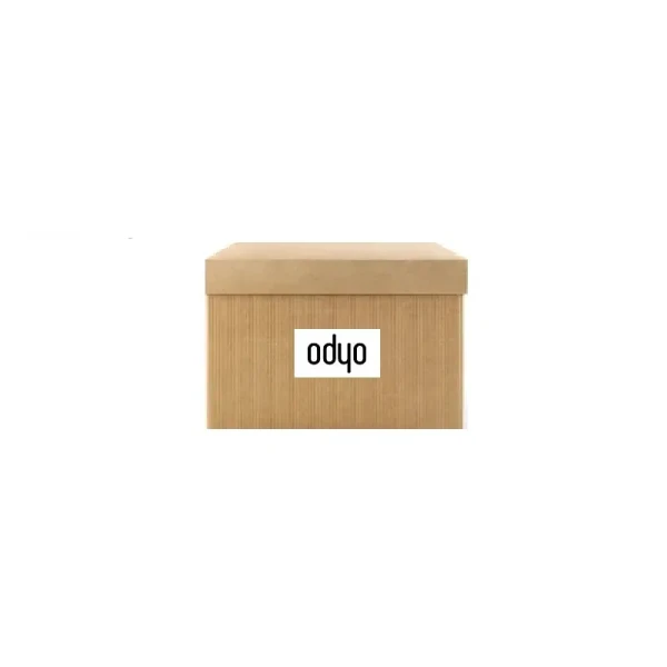 ODYO Debriyaj Hidrolik Rulman – 700AA396 / OEM 0055186498