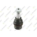 Teknorot Alt Rotil – A-674 / OEM 4G0407689C