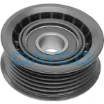 Dayco Alternatör Gergi Rulmanı – APV2134 / OEM 059903341J