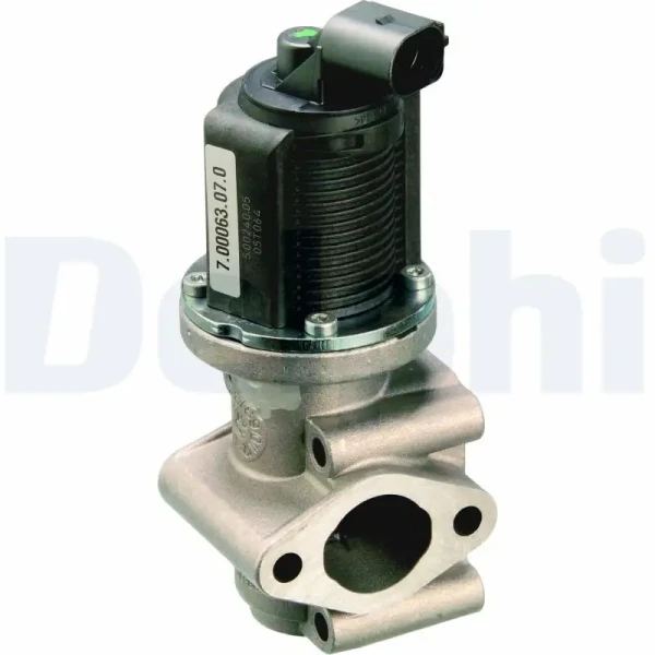 Delphi EGR Valfi – EG10259-12B1 / OEM 55215031