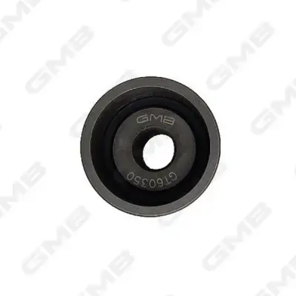GMB Triger Gergi Rulmanı – GT60350