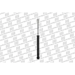 Maysan Arka Amortisör – PN7214806 / OEM 6R0513025H