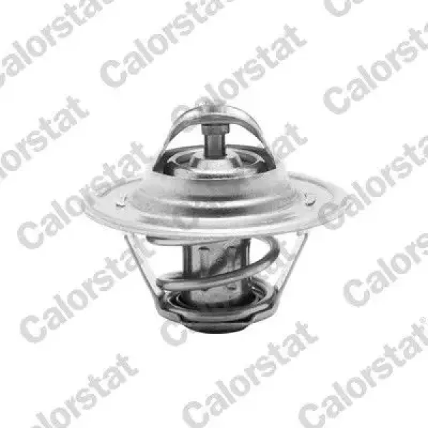 Calorstat Vernet Termostat – TH6276.87 / OEM 050121113C