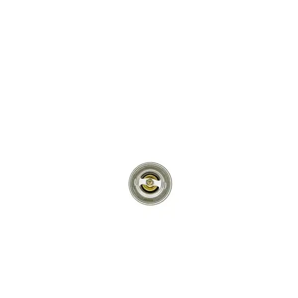 Aisin Termostat – THRAZ-7004 / OEM 068121113H