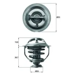 Mahle Termostat – TX11795D / OEM 06J121113C
