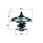 Mahle Termostat – TX3080D / OEM 1224808