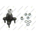 Teknorot Alt Rotil (Sağ) – V-655K / OEM 3C0407366A