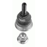 Rotil - Üst Rotil Sol-sağ Volkswagen Amarok 10> 37149 01 - Kod 4U-B11472 - OEM 2H0407021B