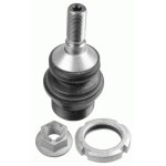 Rotil - Alt Rotil Arka Sol-sağ 164 - Kod 4U-B79135 - OEM A1643520327