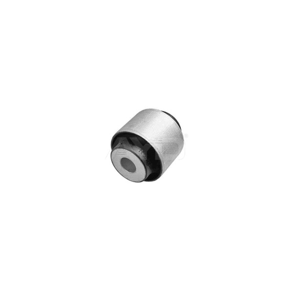 Arka Kol Burcu 221 - Kod 4U-P11304 - OEM A2213522265